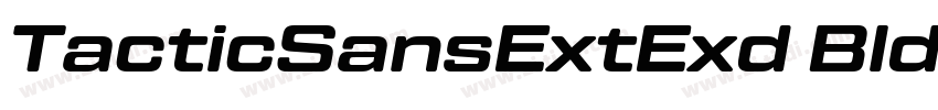 TacticSansExtExd Bld字体转换